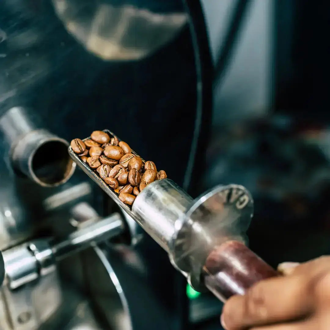 Siege Engine Espresso | Dark Roast Whole Bean Coffee 12oz - Invictus Templar