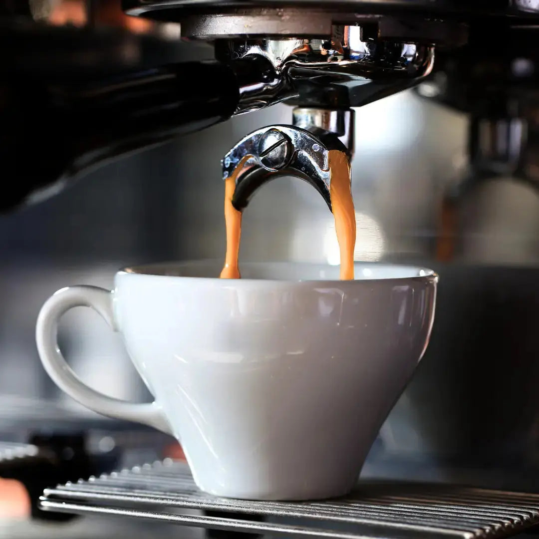 Siege Engine Espresso | Dark Roast Whole Bean Coffee 12oz - Invictus Templar