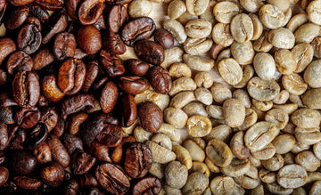 Coffee Dark Roast and Light Roast Comparison