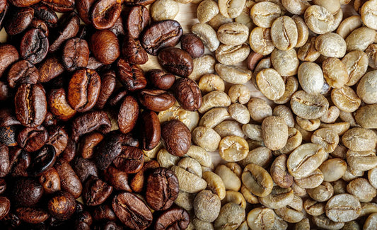 Coffee Dark Roast and Light Roast Comparison