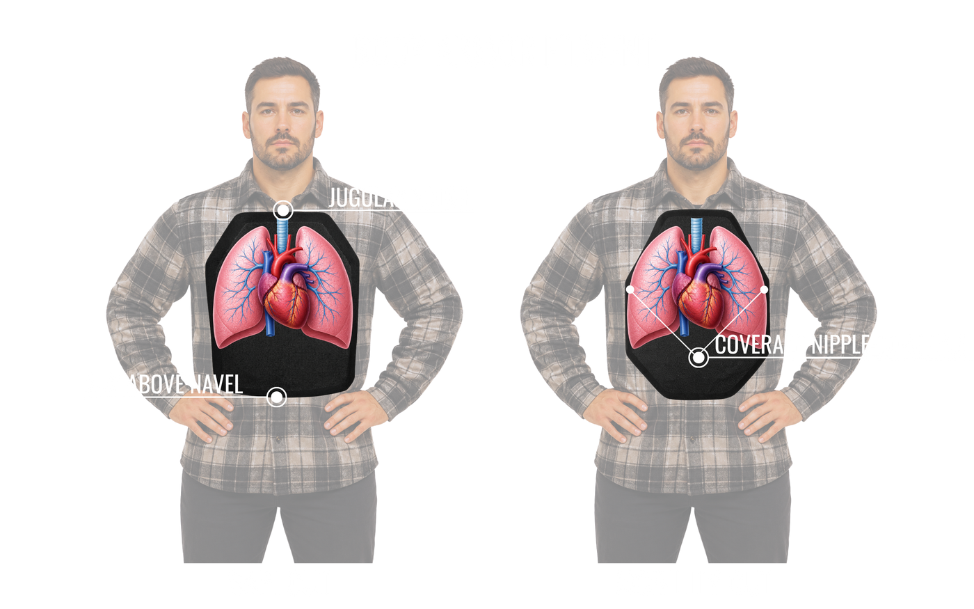 Choose Your Plate Size Based on Torso Coverage, Not Body Weight